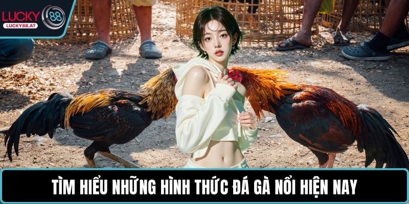Tìm hiểu những hình thức đá gà nổi hiện nay
